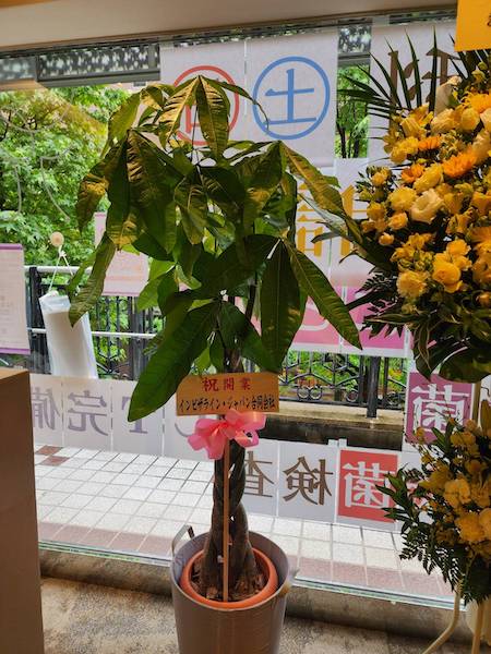 沢山のお祝いのお花、誠にありがとうございました