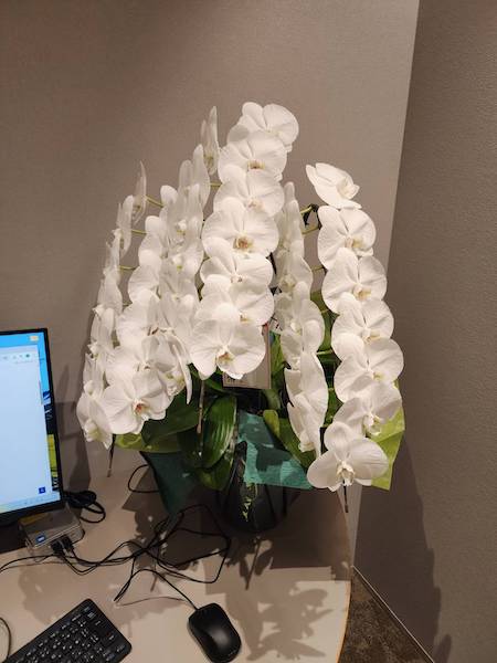 沢山のお祝いのお花、誠にありがとうございました