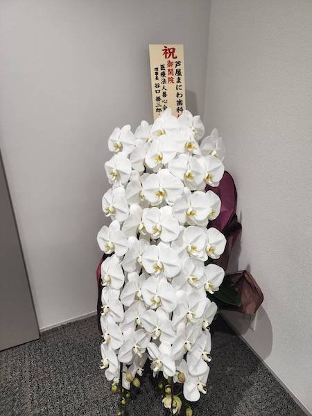 沢山のお祝いのお花、誠にありがとうございました