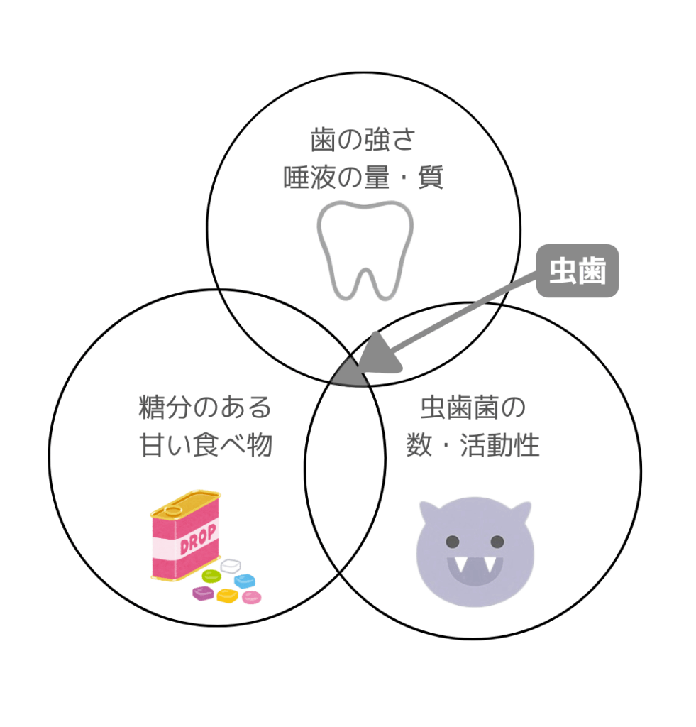 虫歯になりにくいおやつ選び〜ハチミツは虫歯になりにくいって本当?〜